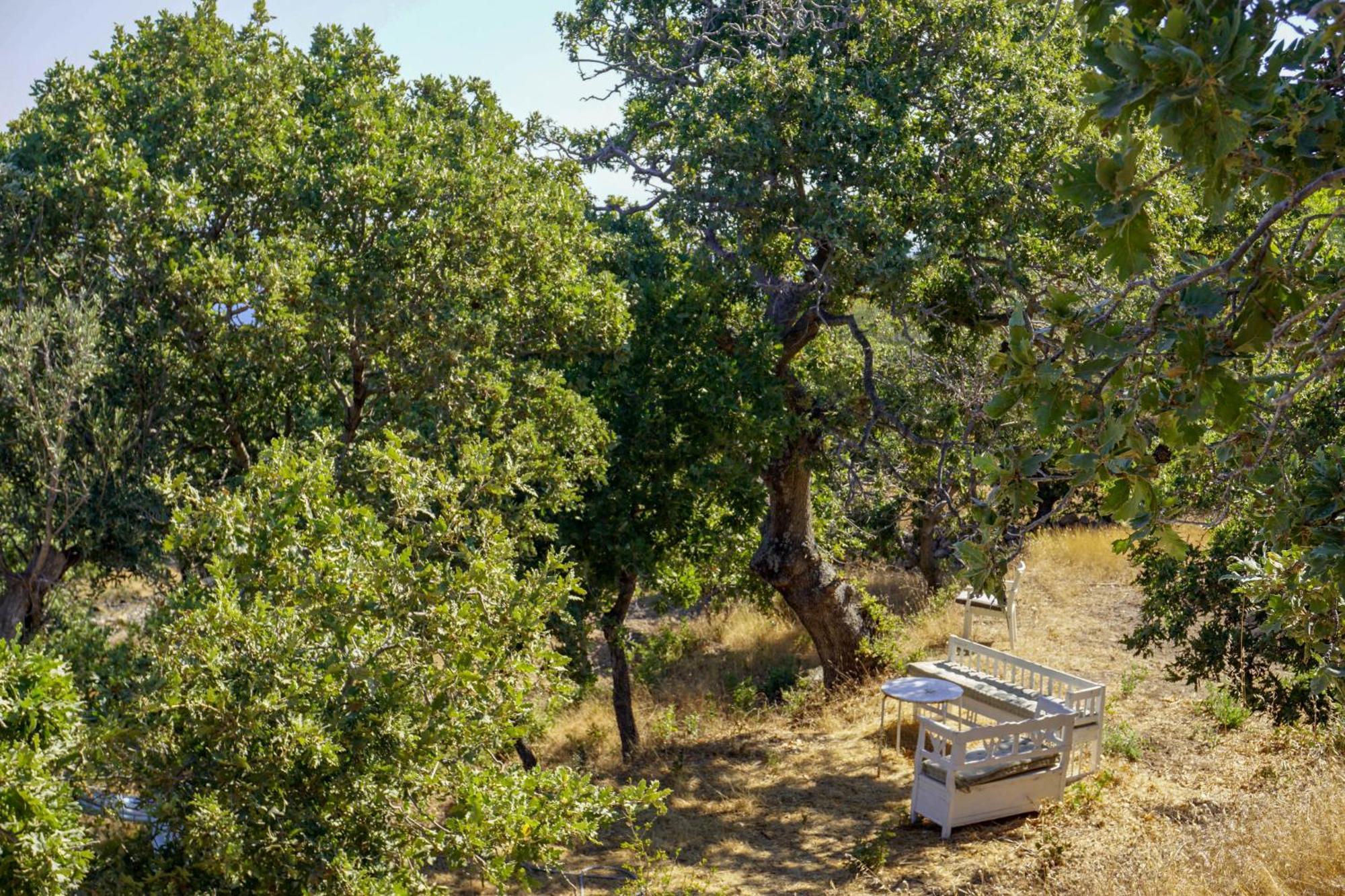 My Old Stone House In A 2 000 Sqm Private Garden With Fab Glamping Tent Mandraki  ภายนอก รูปภาพ